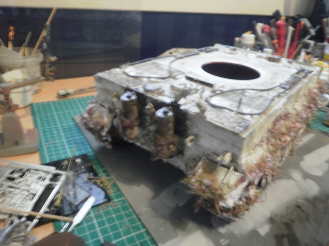 P7030007 (640x480).jpg