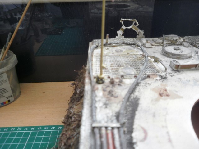 P7040011 (640x480).jpg