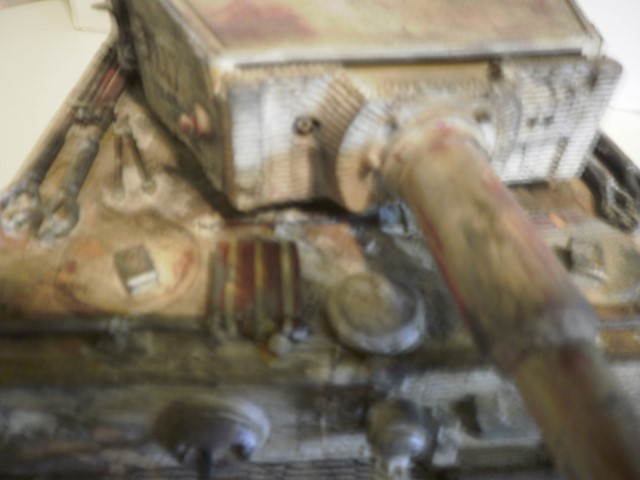 P7060018 (640x480).jpg