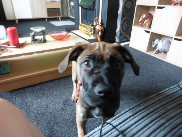 P1020324 (640x480).jpg