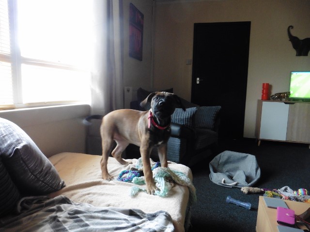 P1020328 (640x480).jpg