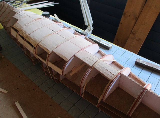 lower plank.jpg