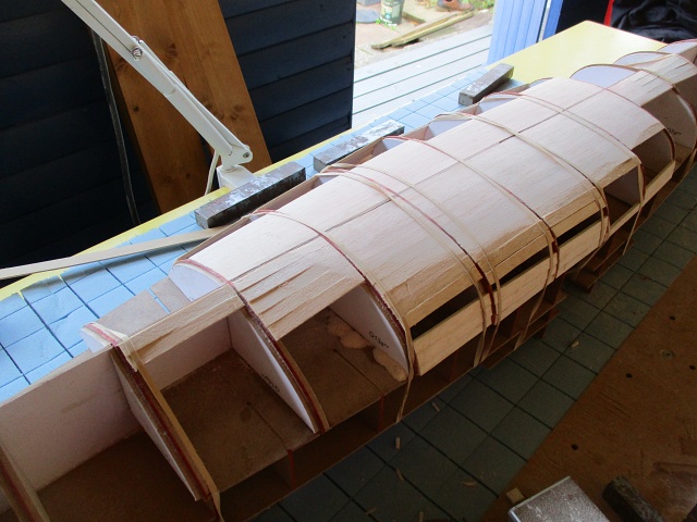 lower plank 1.jpg