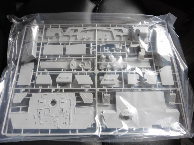 P1020563 (640x480).jpg