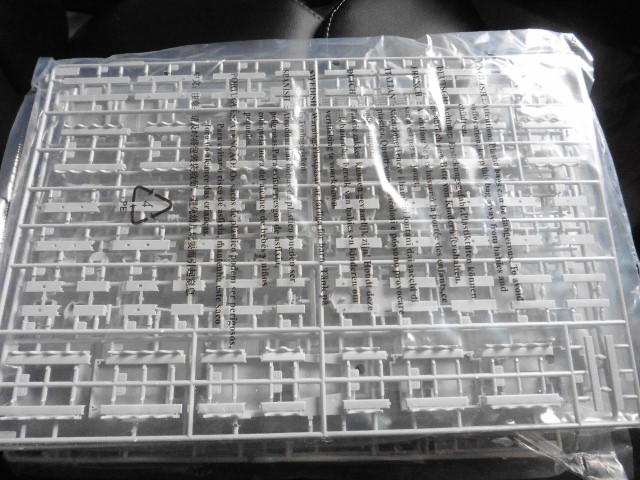 P1020566 (640x480).jpg