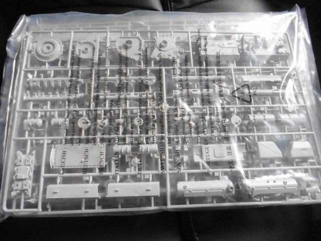 P1020570 (640x480).jpg