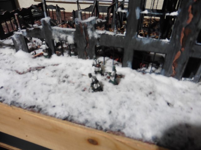 P1020593 (640x480).jpg