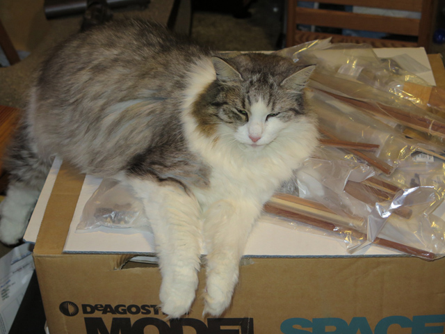 Pyri supervising ST inspection.jpg