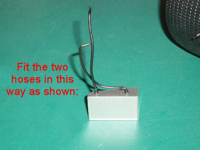 P1013417.JPG