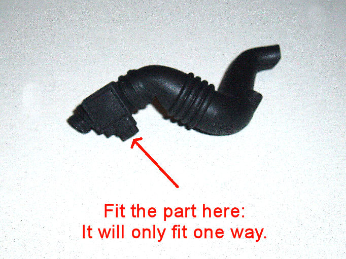 P1013781A.jpg