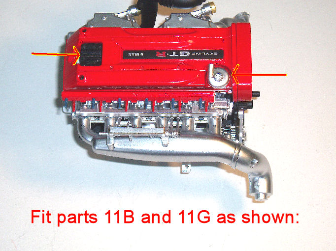 P1013828A.jpg