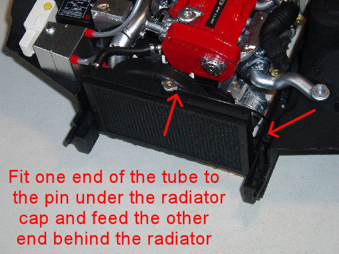 P1014939a.jpg