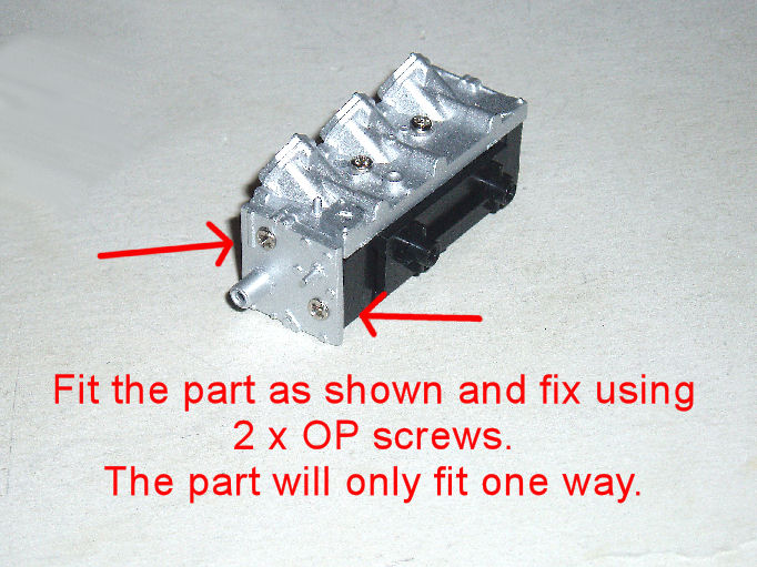 P1010004.JPG