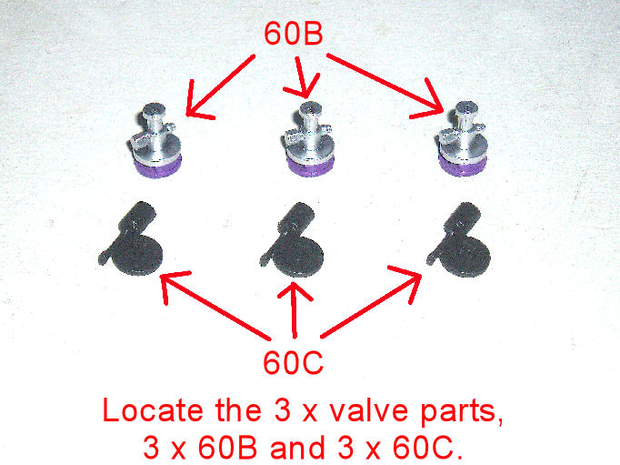 P1010126.JPG