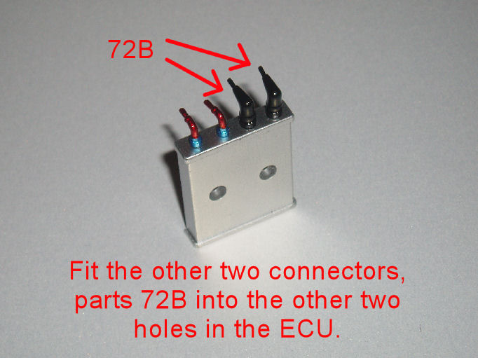 P1010077.JPG