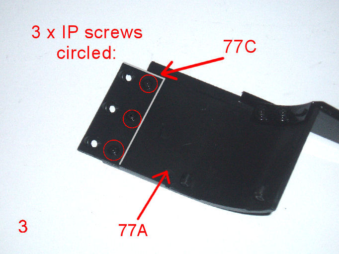 P1010074.JPG