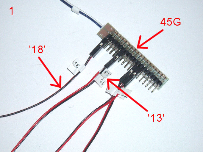 P1010139.JPG