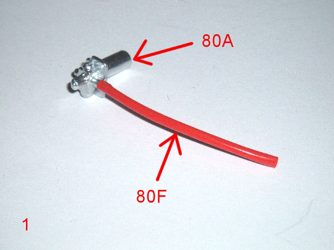 P1010108.JPG