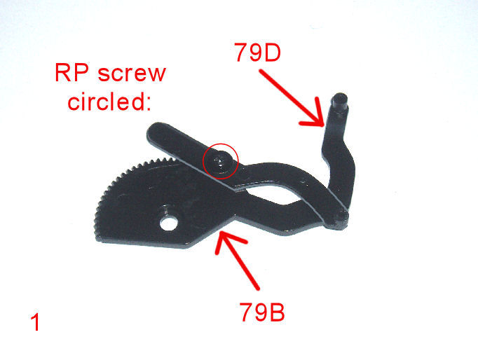 P1010163.JPG