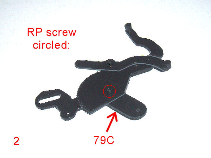 P1010164.JPG