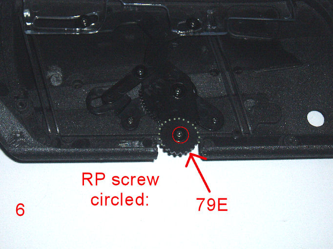 P1010174.JPG