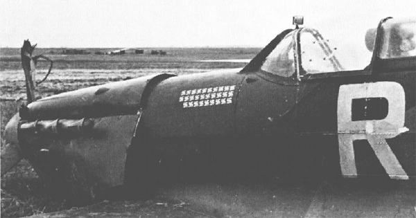 RS-T swastikas.jpg