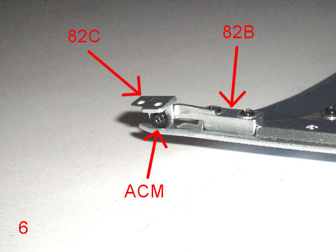 P1010068.JPG