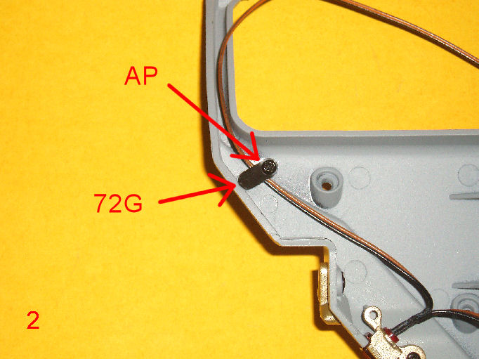 P1010006.JPG