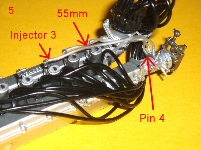 P1010141.JPG