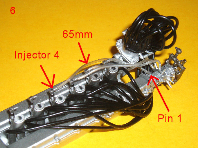 P1010142.JPG