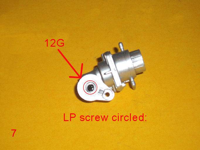 P1010103.JPG