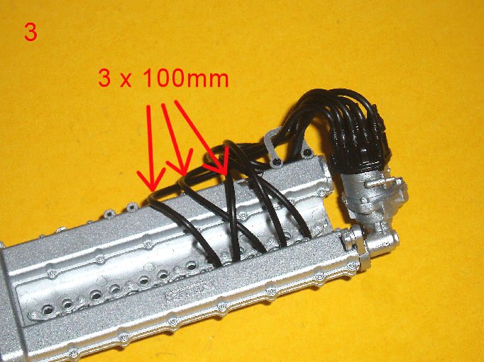 P1010115.JPG