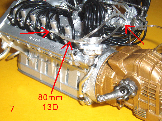 P1010068.JPG
