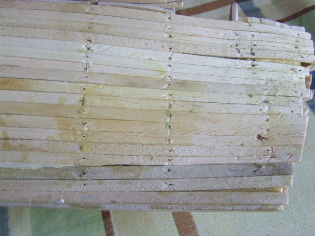 DSCF4141.JPG