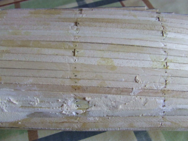 DSCF4142.JPG