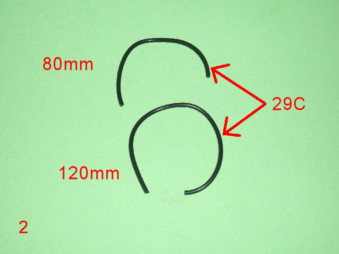 P1010019.JPG