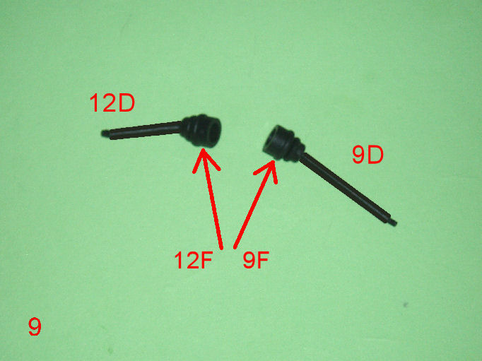 P1010013.JPG