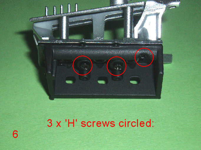 P1010020.JPG