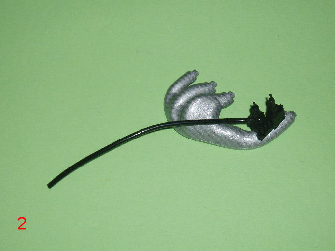 P1010004.JPG