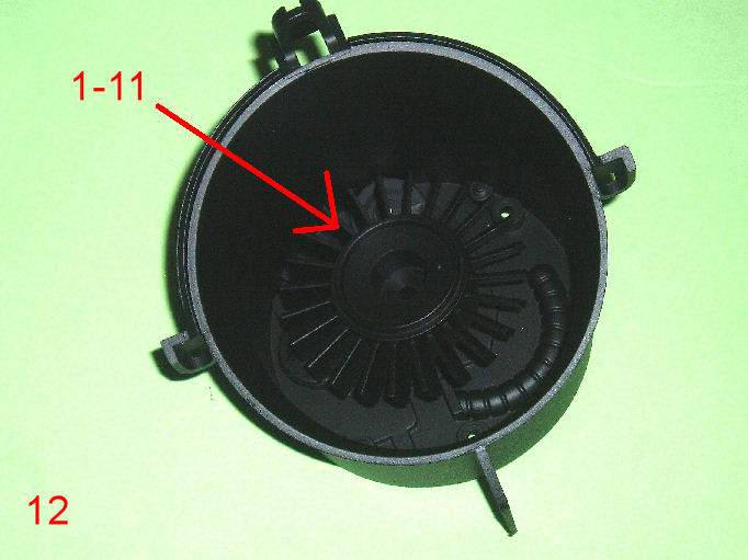 P1010013.JPG