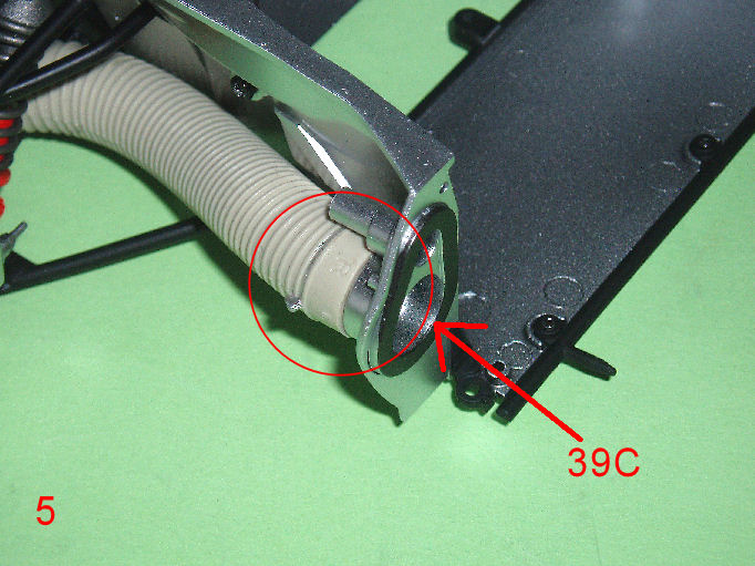 P1010006.JPG