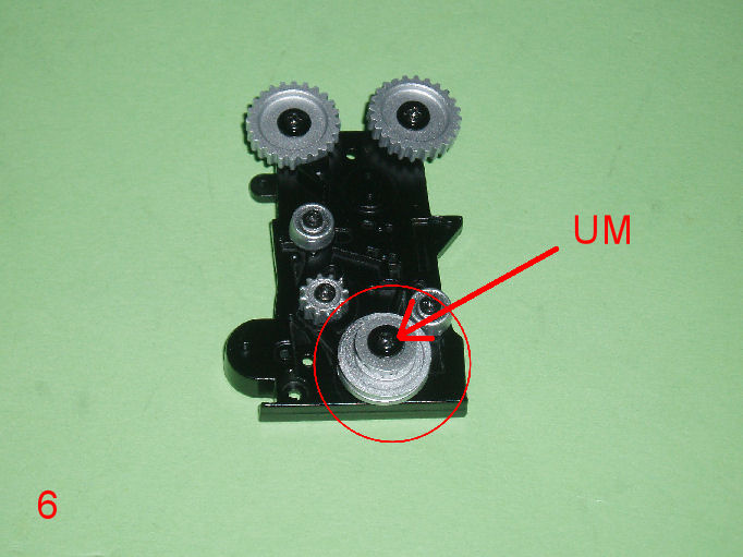 P1010008.JPG