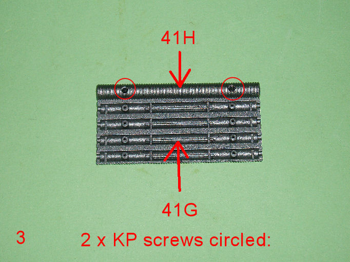 P1010005.JPG