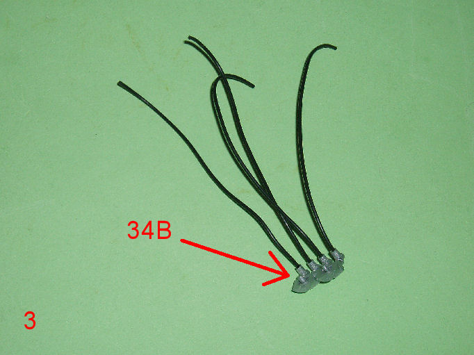 P1010004.JPG