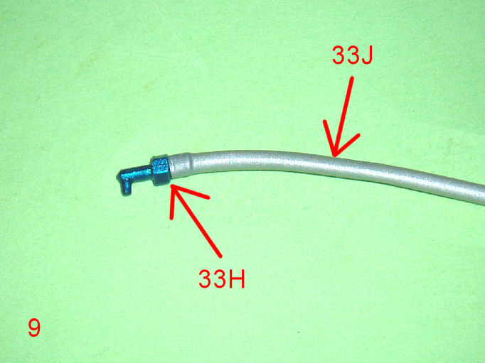P1010010.JPG
