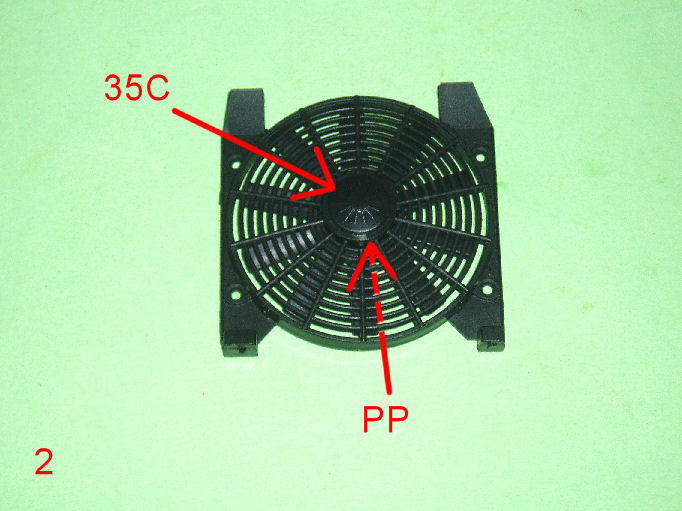 P1010003.JPG