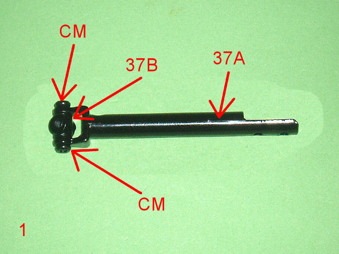 P1010004.JPG