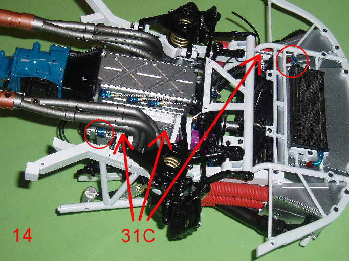 P1010017.JPG