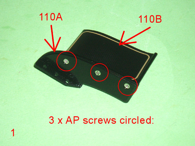 P1010002.JPG