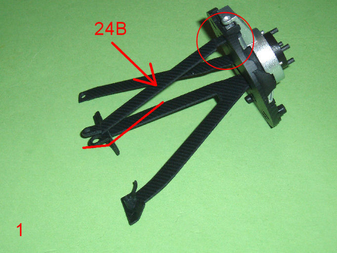 P1010002.JPG